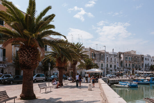 Harbor, Trani, Apulia, Italy