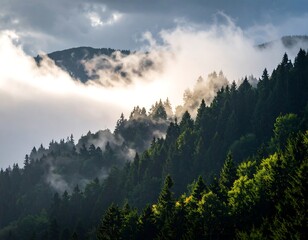 A scenic mountain landscape, pine trees cascading down slopes with mist and sunlight filtering through cloud cover