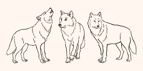 Wolf Line Art Set, Wolf Pack Illustrations Vector