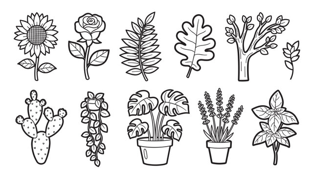 A diverse collection of plant and flower line art illustrations, including a sunflower, rose, cactus, and potted monstera, presented in a simple black and white outline style
