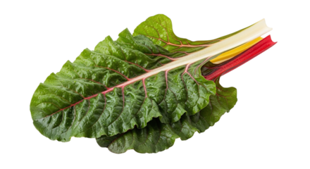 Fresh chard isolated on transparent background, a vibrant and nutritious leafy green, perfect for salads, stirfries, and healthy cooking, showcasing its natural beauty