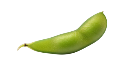 Edamame isolated on transparent background, a young soybean, popular in asian cuisine, known for its nutritional value and versatility
