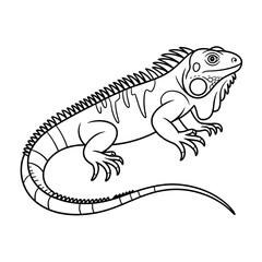 Iguana illustration vector style coloring page 