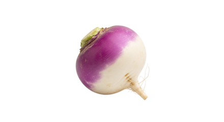 Turnip isolated on transparent background, a root vegetable with a bulbous shape and a purple and white color scheme, showcasing its fresh and natural appearance