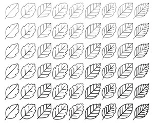 Beech Leaf Outline Vector Set - Line Art for Coloring Book