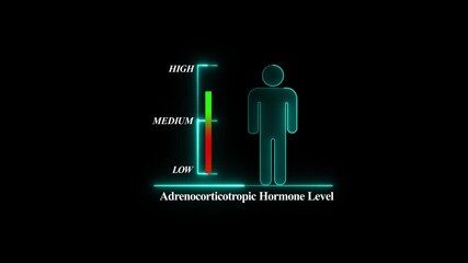 Adrenocorticotropic Hormone Level Indicator with Human Silhouette. Glowing neon animation and black background .good level on high measure scale. Instrument scale with silhouette of a neon man.4k