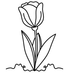 Simple tulip flower line art. Minimalist flower sketch drawing. Botanical graphic.