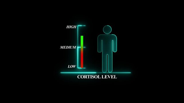 Cortisol Level Indicator with Human Silhouette. Glowing neon animation and black background .good level on high measure scale. Instrument scale with silhouette of a neon man.4k video