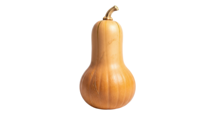 Butternut squash isolated on transparent background, showcasing its smooth skin, elongated shape, and warm, earthy tones