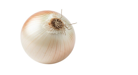 Fresh white onion isolated on transparent background, a popular and versatile vegetable used in various cuisines, known for its pungent flavor and aroma