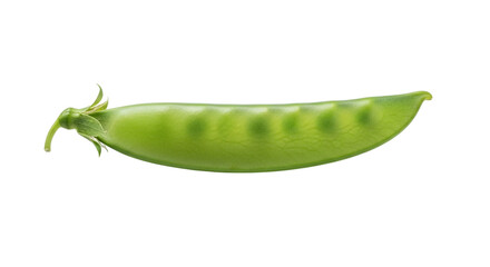 Closeup of a fresh snow pea pod isolated on transparent background, showcasing its vibrant green color and plump shape, a healthy and delicious vegetable