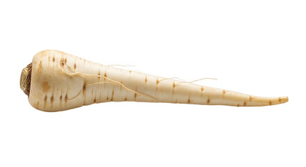 Fresh parsnip isolated on transparent background, a root vegetable with a creamy white color and a slightly sweet, earthy flavor, perfect for cooking