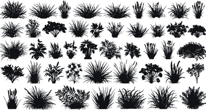 Bush grass botanical shrub plant silhouette vector set, garden landscape foliage meadow floral leaf wild nature illustration collection.