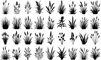 Grass bush plant meadow silhouette vector set, wild garden botanical field elements, black nature foliage, floral landscape collection illustration.
