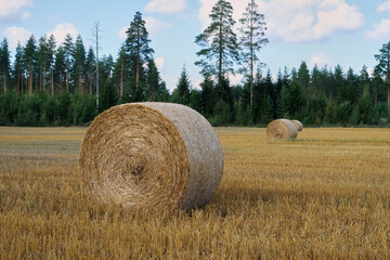 bales of hay