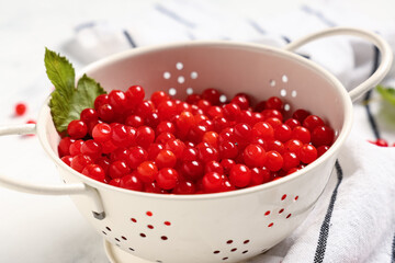 Colander with fresh viburnum berries on white background, closeup