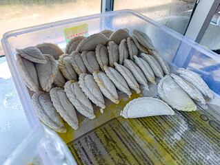 Gray Dumpling Pastry on Yellow Paper Ready to Cook