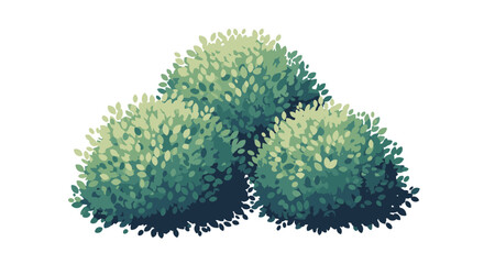 Stylized illustration of three lush green bushes, featuring varied leaf shapes and subtle shading.