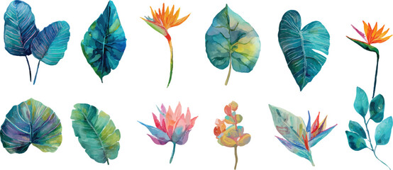 vector set of colorful feathers