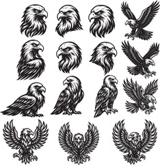 Eagles SVG Bundle