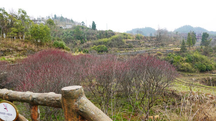 Fototapeta premium A rural landscape featuring a wooden fence in the foreground and a hillside covered in vegetation, this area is near Dehang grand canyon