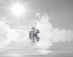 Minimalist Monochrome Landscape Featuring Lone Tree Reflected Over Misty Water Under Bright Sunlight