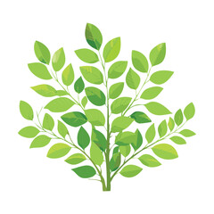 Simple, expressive illustration of a loose, airy shrub plant with bright green leaves and thin stems, conveying natural, light organic form plant