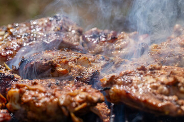 Marinated chicken thighs covered in smoke while grilling outdoors. Close-up shot focused on central pieces of marinated chicken thighs grilling on hot and smoky barbecue grate. The meat has rich crust