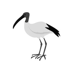 vector drawing bird, , hand drawn , isolated nature design elements