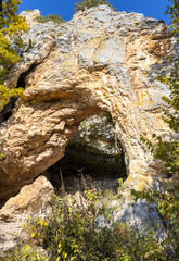 Autumn walks in the autumn park in the morning hours in the alpine area of the mountain range