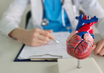 Doctor examining a model of a human heart during a medical consultation in a clinic