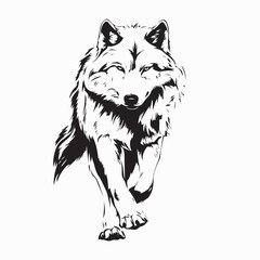 Relaxed Wolf Walking Forward Vector Illustration on white background