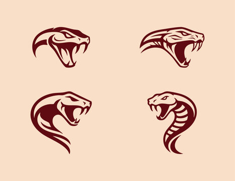 snake head logo or icon illustration design template