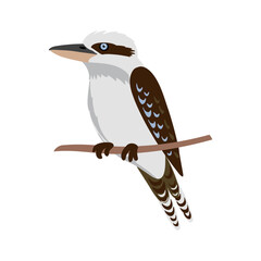 Naklejka premium vector drawing bird, laughing kookaburra, hand drawn Dacelo novaeguineae, isolated nature design elements