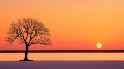 Tree silhouetted against a bright orange sunset, with the sky reflecting warm hues over the horizon.