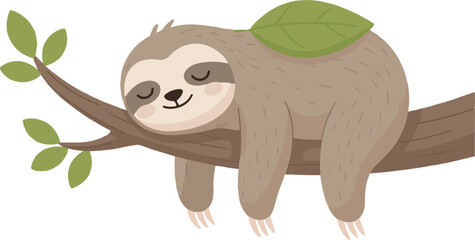 Naklejka premium Sloth Sleeping on a Branch 