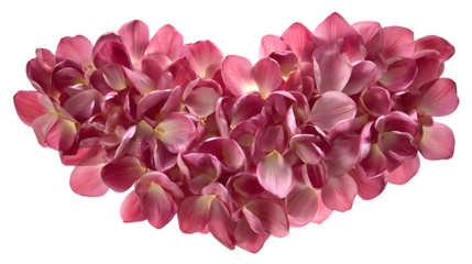 Pink Flower Petals Heart, isolated on transparent background