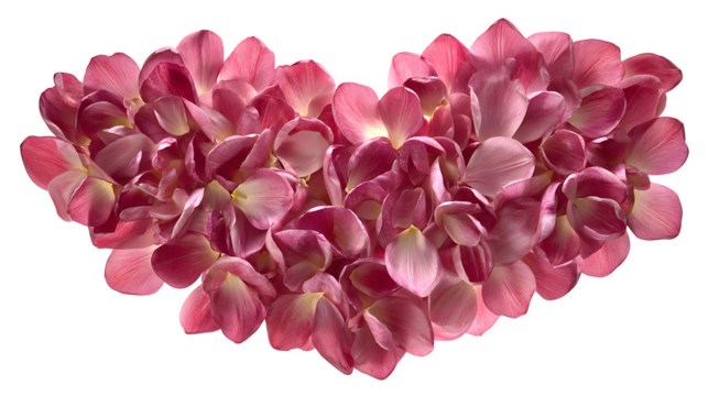 Pink Flower Petals Heart, isolated on transparent background - Powered by Adobe