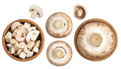 Assorted mushrooms, diced and whole, arranged for cooking use