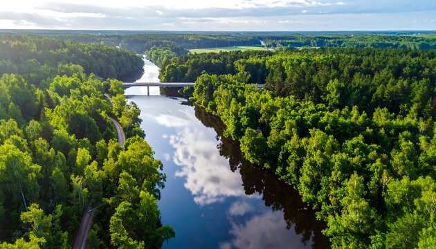 Aerial View of River and Forest with Bridge.