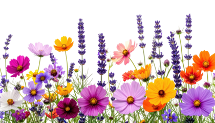 Vivid wildflowers, purple lavender, and green grass on black