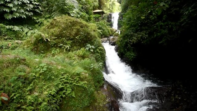 Gitgit waterfall in Buleleng regency of Bali