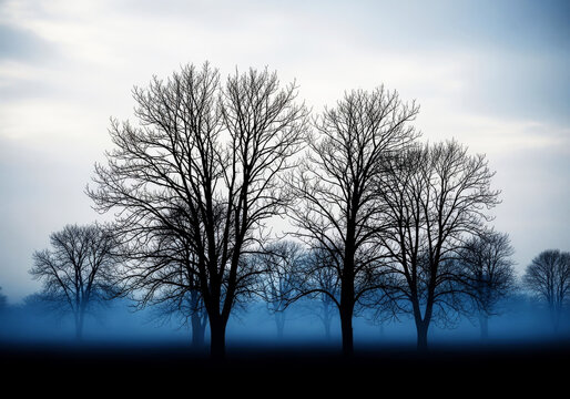 Silhouetted trees in a misty blue forest at dawn - Powered by Adobe