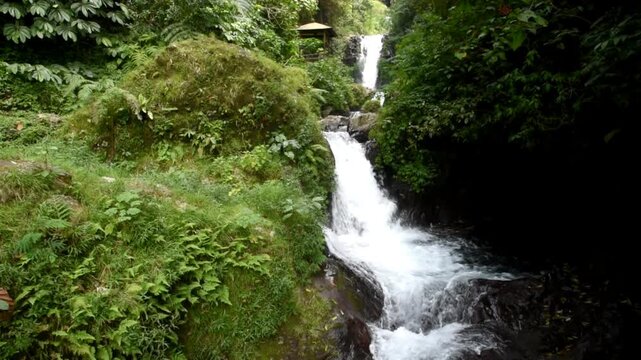Gitgit waterfall in Buleleng regency of Bali