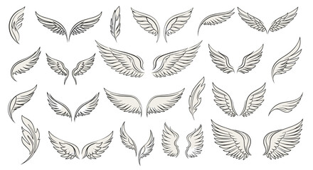 Collection of hand-drawn angel or bird wings in various styles, isolated on a white background.