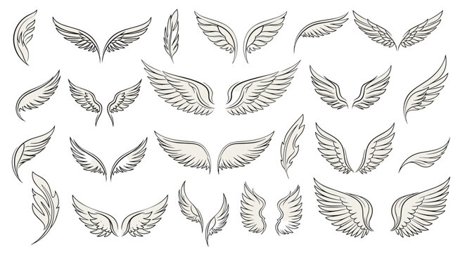 Collection of hand-drawn angel or bird wings in various styles, isolated on a white background.
