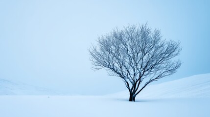 Fototapeta premium Solitary bare tree standing on a vast snow covered minimalist landscape, depicting cold, tranquility, and isolation with copy space