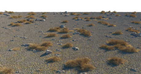 Desert Ground texture pile with rocks, dry bushes cutout isolated png on a transparent background premium nature cutout
