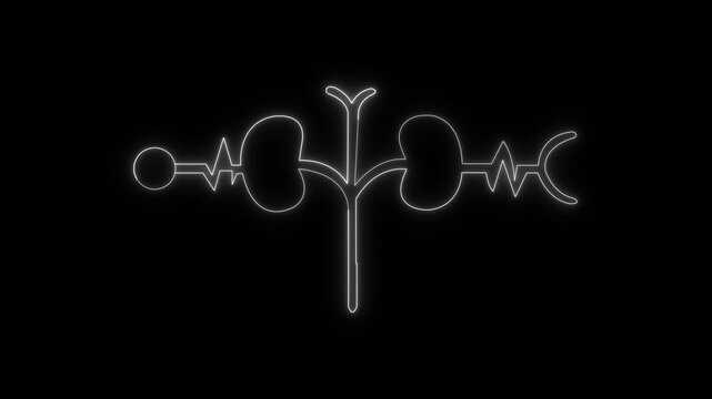 Neon Urology Icon with Kidney Outline and Heartbeat Wave animation on the black background.