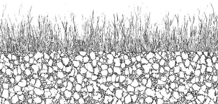 Black and white illustration of grass blades above rocky soil cross section stalks green